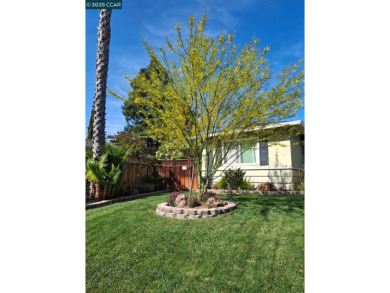Beautifully updated single-level home on a 12,000 sqft lot! on Boundary Oak Golf Course in California - for sale on GolfHomes.com, golf home, golf lot