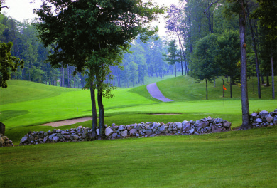 First step is done!   
Nearly $10,000 has been spent to clear on Stonehenge Golf Club in Michigan - for sale on GolfHomes.com, golf home, golf lot