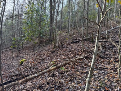 Sellers says make an offer, 1+ acre Lot in the beautiful and on Bent Creek Golf Course in Tennessee - for sale on GolfHomes.com, golf home, golf lot