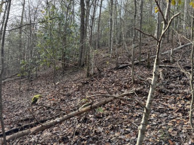 Sellers says make an offer, 1+ acre Lot in the beautiful and on Bent Creek Golf Course in Tennessee - for sale on GolfHomes.com, golf home, golf lot