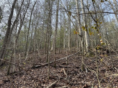 Sellers says make an offer, 1+ acre Lot in the beautiful and on Bent Creek Golf Course in Tennessee - for sale on GolfHomes.com, golf home, golf lot