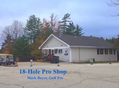 Great location for building or camping.   This lot includes all on Lakeside Golf Course in Michigan - for sale on GolfHomes.com, golf home, golf lot