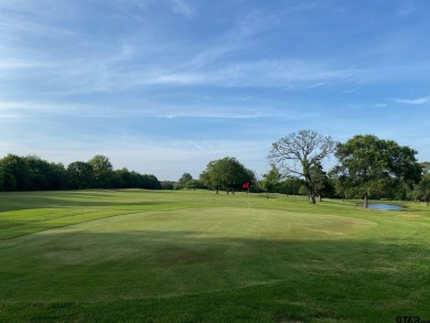 Enjoy serene views from your backyard on the green -- perfectly on Oak Hurst Golf Course in Texas - for sale on GolfHomes.com, golf home, golf lot