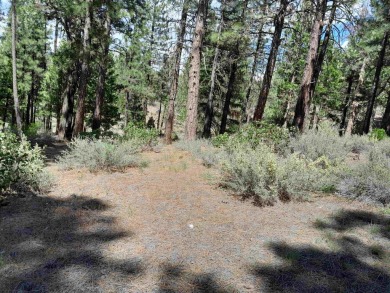 Discover Your Dream Homesite at Nakoma in the Lost Sierra Region on Nakoma Golf Resort in California - for sale on GolfHomes.com, golf home, golf lot