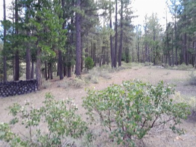 Discover Your Dream Homesite at Nakoma in the Lost Sierra Region on Nakoma Golf Resort in California - for sale on GolfHomes.com, golf home, golf lot