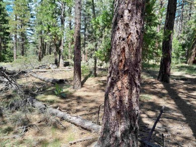 Discover Your Dream Homesite at Nakoma in the Lost Sierra Region on Nakoma Golf Resort in California - for sale on GolfHomes.com, golf home, golf lot