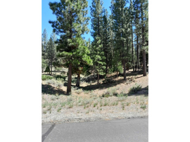 Discover Your Dream Homesite at Nakoma in the Lost Sierra Region on Nakoma Golf Resort in California - for sale on GolfHomes.com, golf home, golf lot