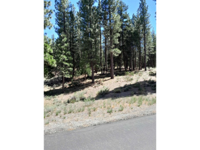 Discover Your Dream Homesite at Nakoma in the Lost Sierra Region on Nakoma Golf Resort in California - for sale on GolfHomes.com, golf home, golf lot