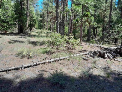 Discover Your Dream Homesite at Nakoma in the Lost Sierra Region on Nakoma Golf Resort in California - for sale on GolfHomes.com, golf home, golf lot