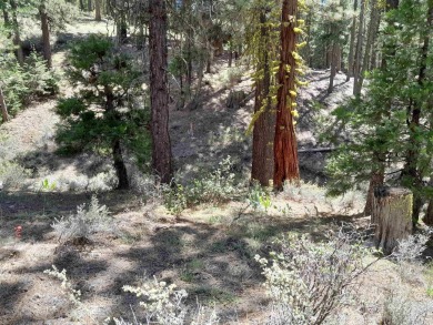 Discover Your Dream Homesite at Nakoma in the Lost Sierra Region on Nakoma Golf Resort in California - for sale on GolfHomes.com, golf home, golf lot