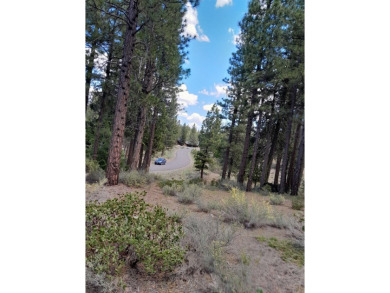 Discover Your Dream Homesite at Nakoma in the Lost Sierra Region on Nakoma Golf Resort in California - for sale on GolfHomes.com, golf home, golf lot