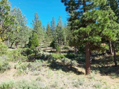 Discover Your Dream Homesite at Nakoma in the Lost Sierra Region on Nakoma Golf Resort in California - for sale on GolfHomes.com, golf home, golf lot