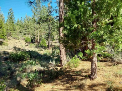 Discover Your Dream Homesite at Nakoma in the Lost Sierra Region on Nakoma Golf Resort in California - for sale on GolfHomes.com, golf home, golf lot