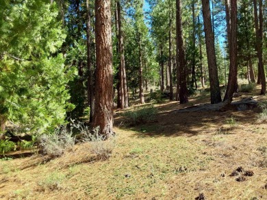 Discover Your Dream Homesite at Nakoma in the Lost Sierra Region on Nakoma Golf Resort in California - for sale on GolfHomes.com, golf home, golf lot