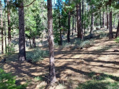 Discover Your Dream Homesite at Nakoma in the Lost Sierra Region on Nakoma Golf Resort in California - for sale on GolfHomes.com, golf home, golf lot
