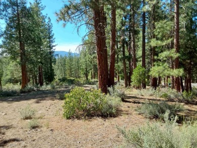 Discover Your Dream Homesite at Nakoma in the Lost Sierra Region on Nakoma Golf Resort in California - for sale on GolfHomes.com, golf home, golf lot