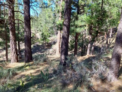 Discover Your Dream Homesite at Nakoma in the Lost Sierra Region on Nakoma Golf Resort in California - for sale on GolfHomes.com, golf home, golf lot