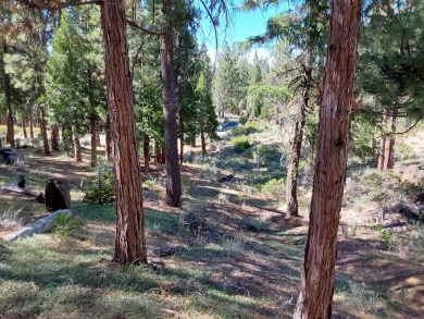 Discover Your Dream Homesite at Nakoma in the Lost Sierra Region on Nakoma Golf Resort in California - for sale on GolfHomes.com, golf home, golf lot