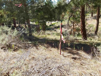 Discover Your Dream Homesite at Nakoma in the Lost Sierra Region on Nakoma Golf Resort in California - for sale on GolfHomes.com, golf home, golf lot