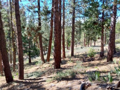 Discover Your Dream Homesite at Nakoma in the Lost Sierra Region on Nakoma Golf Resort in California - for sale on GolfHomes.com, golf home, golf lot