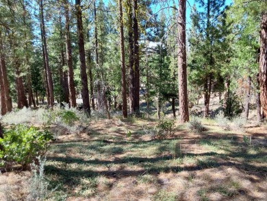 Discover Your Dream Homesite at Nakoma in the Lost Sierra Region on Nakoma Golf Resort in California - for sale on GolfHomes.com, golf home, golf lot