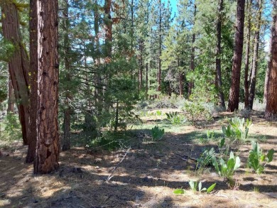 Discover Your Dream Homesite at Nakoma in the Lost Sierra Region on Nakoma Golf Resort in California - for sale on GolfHomes.com, golf home, golf lot