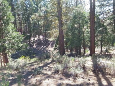 Discover Your Dream Homesite at Nakoma in the Lost Sierra Region on Nakoma Golf Resort in California - for sale on GolfHomes.com, golf home, golf lot