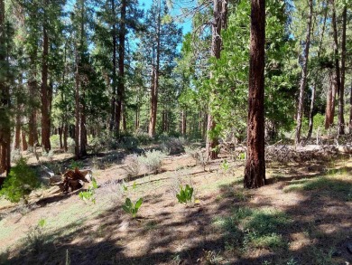 Discover Your Dream Homesite at Nakoma in the Lost Sierra Region on Nakoma Golf Resort in California - for sale on GolfHomes.com, golf home, golf lot