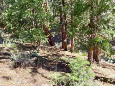 Discover Your Dream Homesite at Nakoma in the Lost Sierra Region on Nakoma Golf Resort in California - for sale on GolfHomes.com, golf home, golf lot