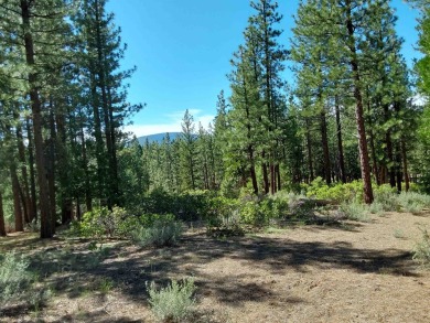 Discover Your Dream Homesite at Nakoma in the Lost Sierra Region on Nakoma Golf Resort in California - for sale on GolfHomes.com, golf home, golf lot