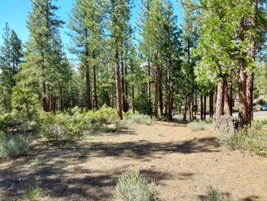 Discover Your Dream Homesite at Nakoma in the Lost Sierra Region on Nakoma Golf Resort in California - for sale on GolfHomes.com, golf home, golf lot