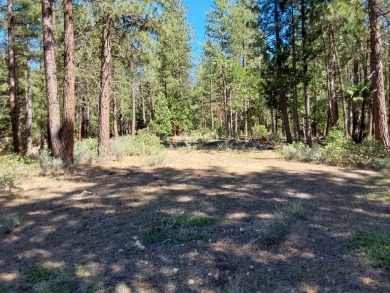 Discover Your Dream Homesite at Nakoma in the Lost Sierra Region on Nakoma Golf Resort in California - for sale on GolfHomes.com, golf home, golf lot