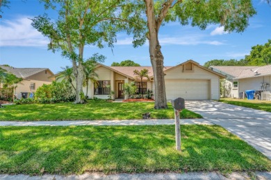 Beautiful 4 bedroom, 2 bath COMPLETELY RENOVATED home in on Buckhorn Springs Golf and Country Club in Florida - for sale on GolfHomes.com, golf home, golf lot