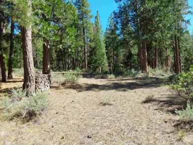 Discover Your Dream Homesite at Nakoma in the Lost Sierra Region on Nakoma Golf Resort in California - for sale on GolfHomes.com, golf home, golf lot