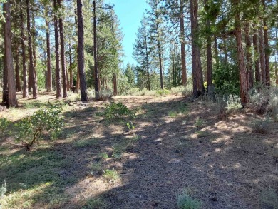 Discover Your Dream Homesite at Nakoma in the Lost Sierra Region on Nakoma Golf Resort in California - for sale on GolfHomes.com, golf home, golf lot