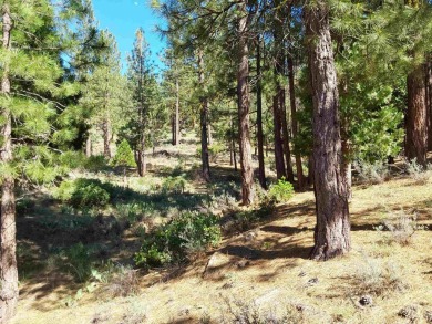 Discover Your Dream Homesite at Nakoma in the Lost Sierra Region on Nakoma Golf Resort in California - for sale on GolfHomes.com, golf home, golf lot
