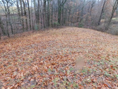 Beautiful Lot located in Stillwater Subdivision!  This lot is 1 on Links At Lily Creek Resort in Kentucky - for sale on GolfHomes.com, golf home, golf lot