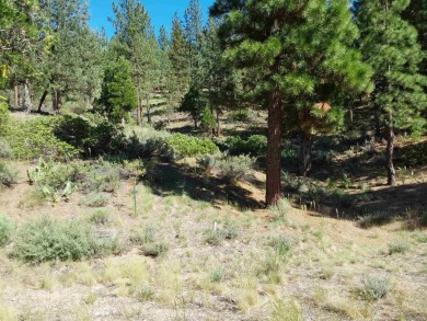 Discover Your Dream Homesite at Nakoma in the Lost Sierra Region on Nakoma Golf Resort in California - for sale on GolfHomes.com, golf home, golf lot