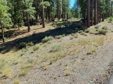 Discover Your Dream Homesite at Nakoma in the Lost Sierra Region on Nakoma Golf Resort in California - for sale on GolfHomes.com, golf home, golf lot