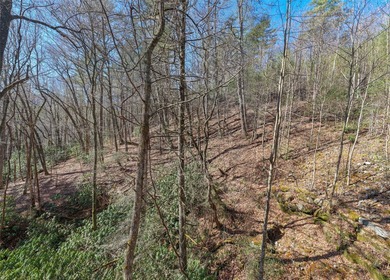 If you have ever wanted to own your own private river front lot on Burlingame Country Club in North Carolina - for sale on GolfHomes.com, golf home, golf lot