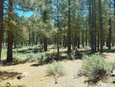 Discover Your Dream Homesite at Nakoma in the Lost Sierra Region on Nakoma Golf Resort in California - for sale on GolfHomes.com, golf home, golf lot