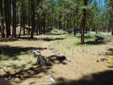 Discover Your Dream Homesite at Nakoma in the Lost Sierra Region on Nakoma Golf Resort in California - for sale on GolfHomes.com, golf home, golf lot