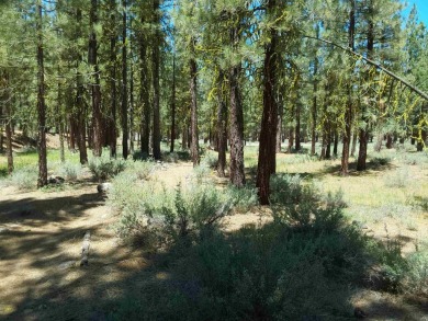 Discover Your Dream Homesite at Nakoma in the Lost Sierra Region on Nakoma Golf Resort in California - for sale on GolfHomes.com, golf home, golf lot