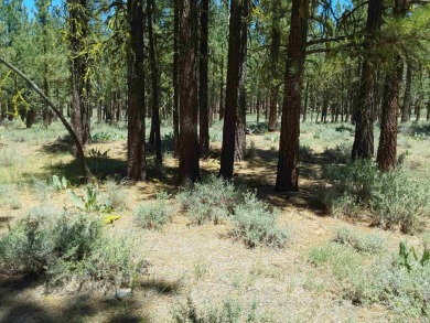 Discover Your Dream Homesite at Nakoma in the Lost Sierra Region on Nakoma Golf Resort in California - for sale on GolfHomes.com, golf home, golf lot