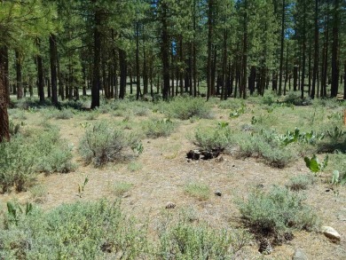 Discover Your Dream Homesite at Nakoma in the Lost Sierra Region on Nakoma Golf Resort in California - for sale on GolfHomes.com, golf home, golf lot