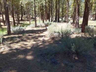 Discover Your Dream Homesite at Nakoma in the Lost Sierra Region on Nakoma Golf Resort in California - for sale on GolfHomes.com, golf home, golf lot