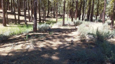 Discover Your Dream Homesite at Nakoma in the Lost Sierra Region on Nakoma Golf Resort in California - for sale on GolfHomes.com, golf home, golf lot