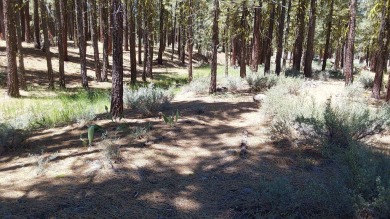 Discover Your Dream Homesite at Nakoma in the Lost Sierra Region on Nakoma Golf Resort in California - for sale on GolfHomes.com, golf home, golf lot