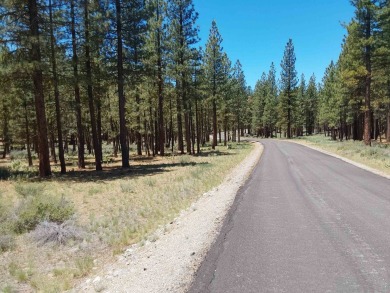 Discover Your Dream Homesite at Nakoma in the Lost Sierra Region on Nakoma Golf Resort in California - for sale on GolfHomes.com, golf home, golf lot