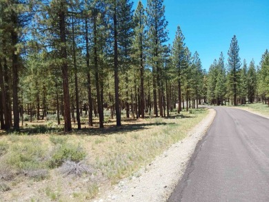 Discover Your Dream Homesite at Nakoma in the Lost Sierra Region on Nakoma Golf Resort in California - for sale on GolfHomes.com, golf home, golf lot